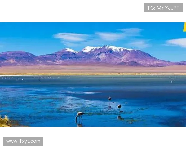 南京极限运动队的转型与创新探索之路揭秘