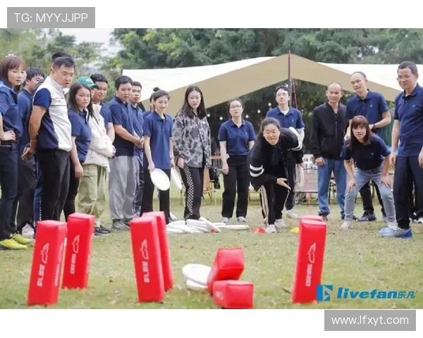 南京飞盘队的成长之路极限运动嘉年华精彩回顾与展望